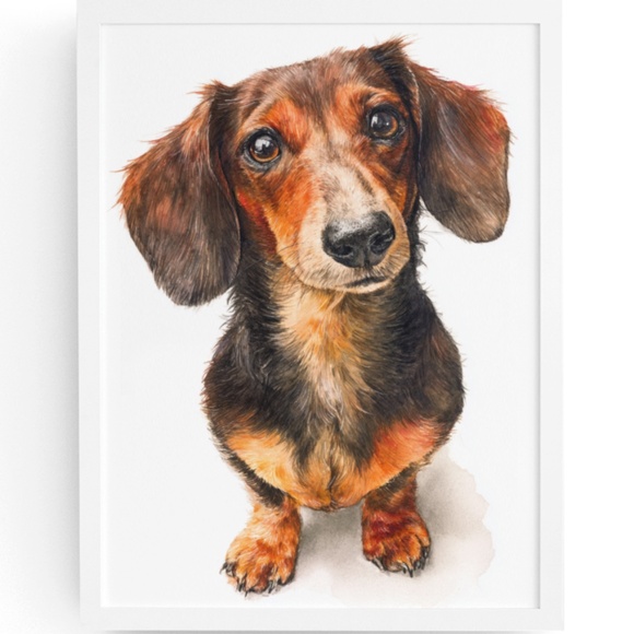 Watercolor Dachshund Dog Portrait Art Print – Unframed Fine Art Poster - Picture 1 of 5
